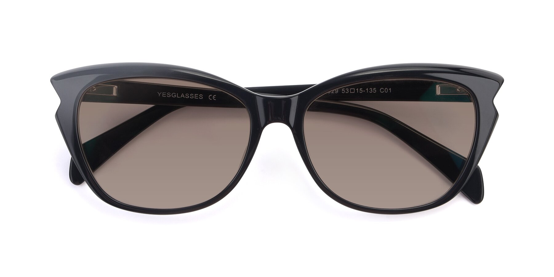 Folded Front of 17629 in Black with Medium Brown Tinted Lenses