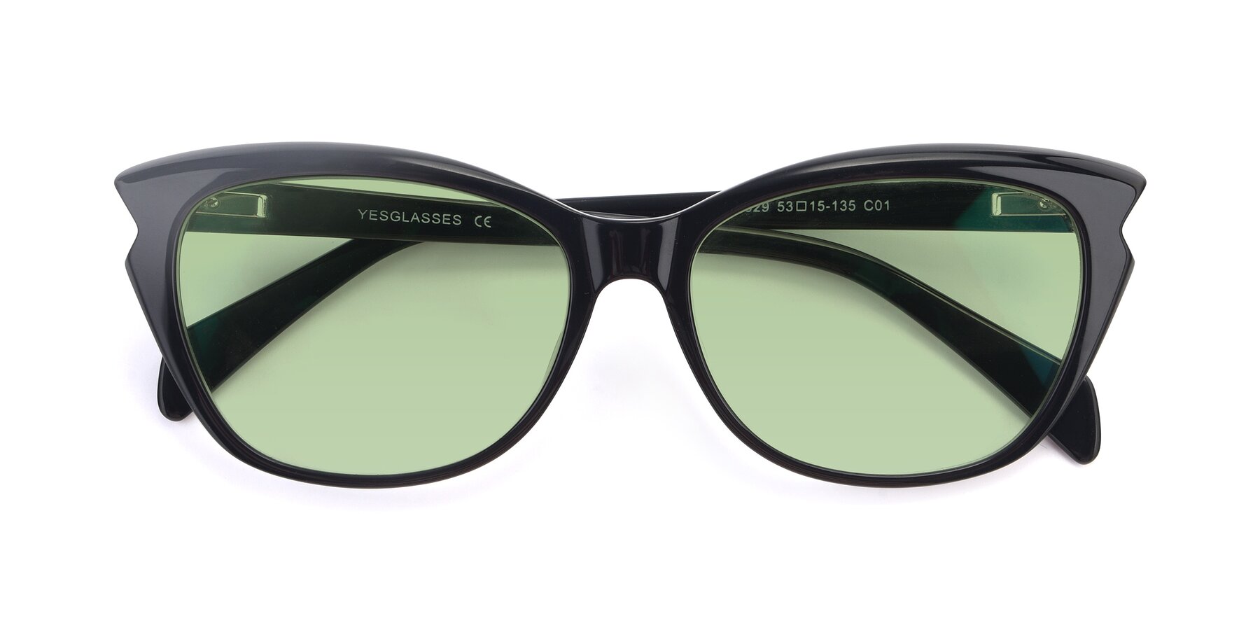 Folded Front of 17629 in Black with Medium Green Tinted Lenses