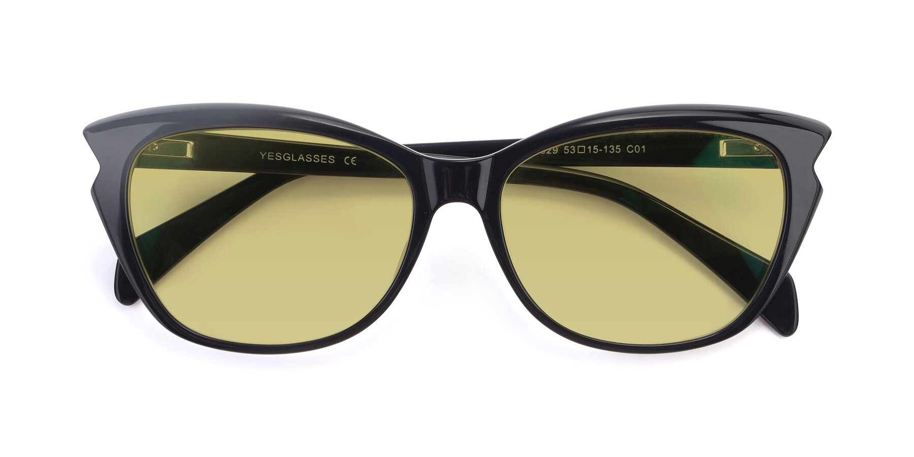 Folded Front of 17629 in Black with Medium Champagne Tinted Lenses