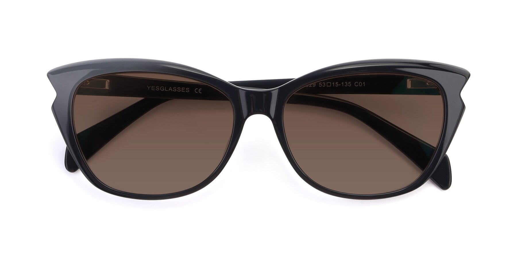 Folded Front of 17629 in Black with Brown Tinted Lenses