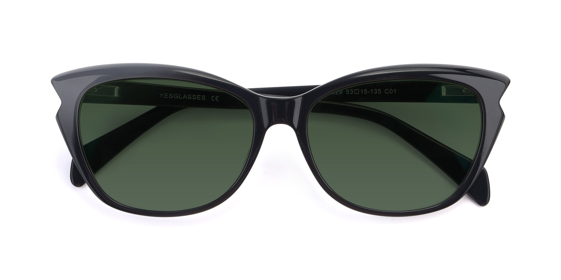 Folded Front of 17629 in Black with Green Tinted Lenses