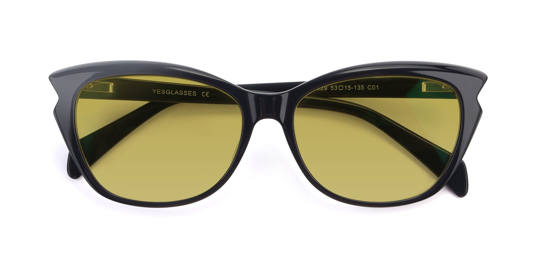 Folded Front of 17629 in Black with Champagne Tinted Lenses