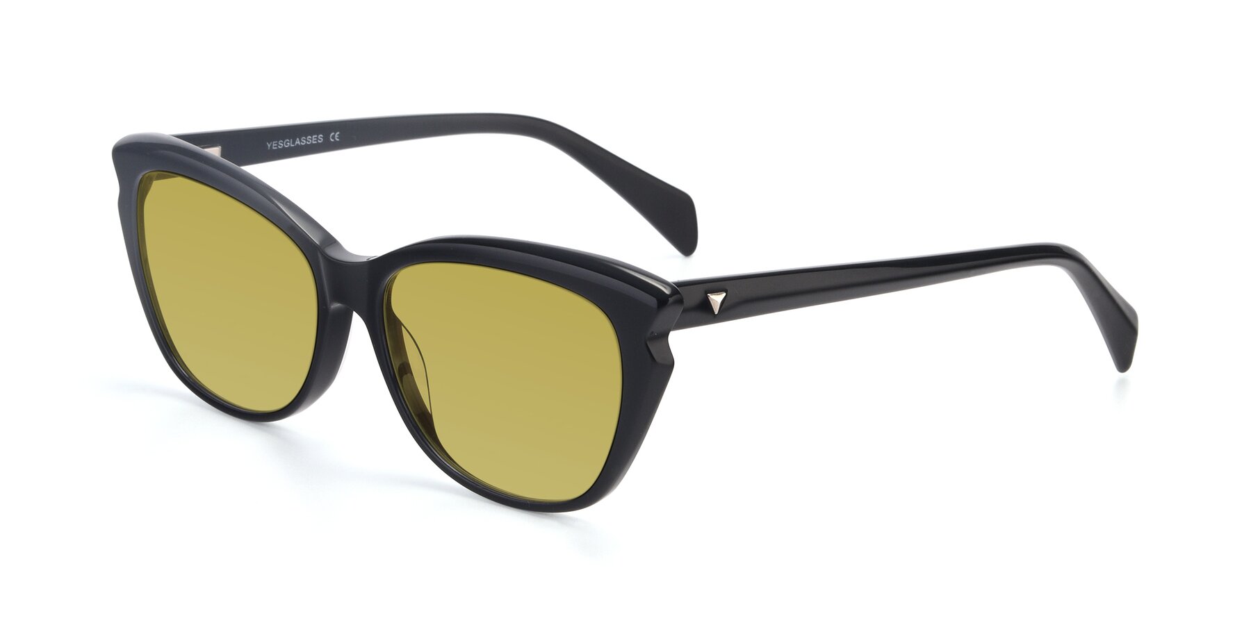 Angle of 17629 in Black with Champagne Tinted Lenses