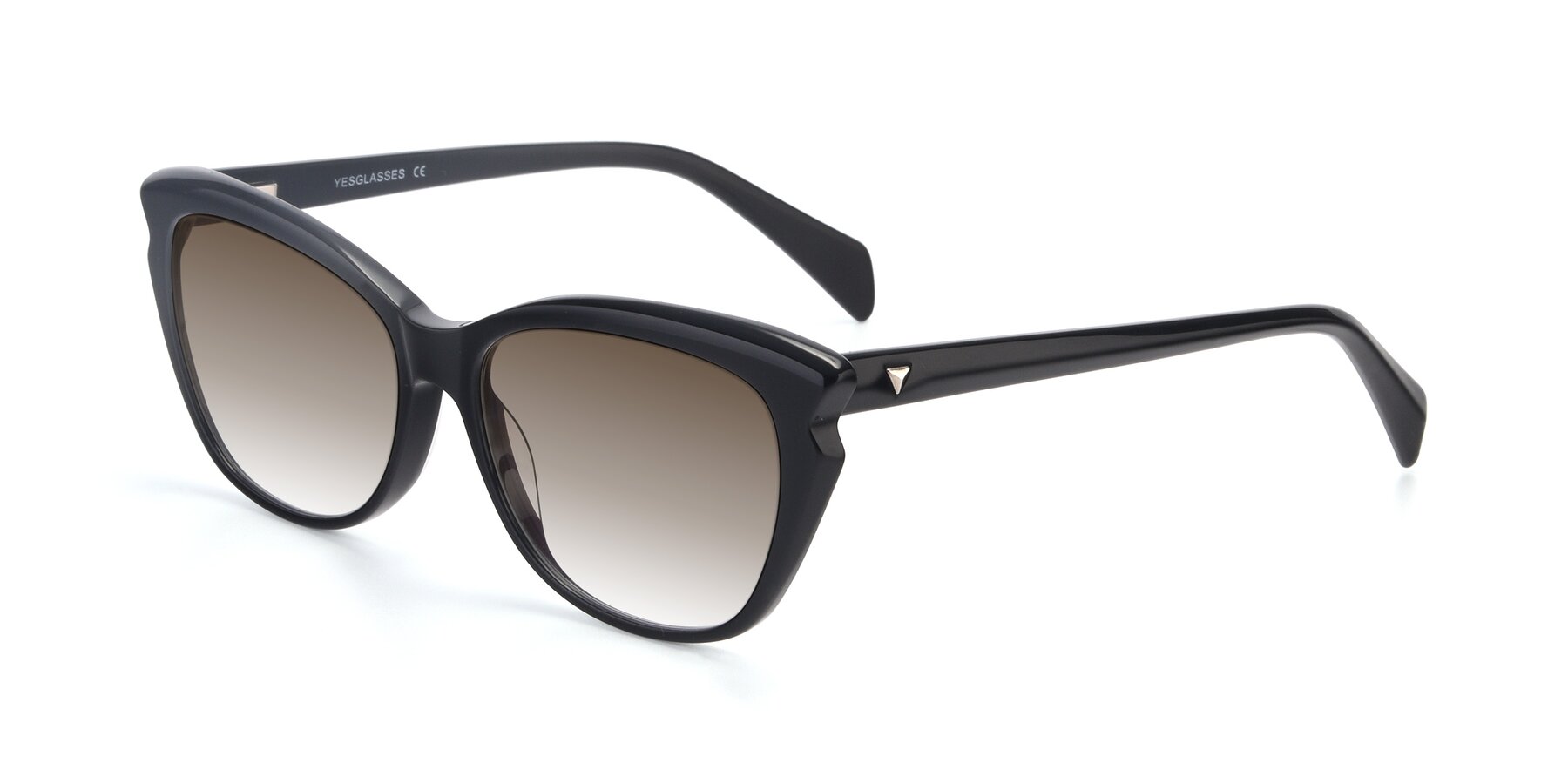 Angle of 17629 in Black with Brown Gradient Lenses