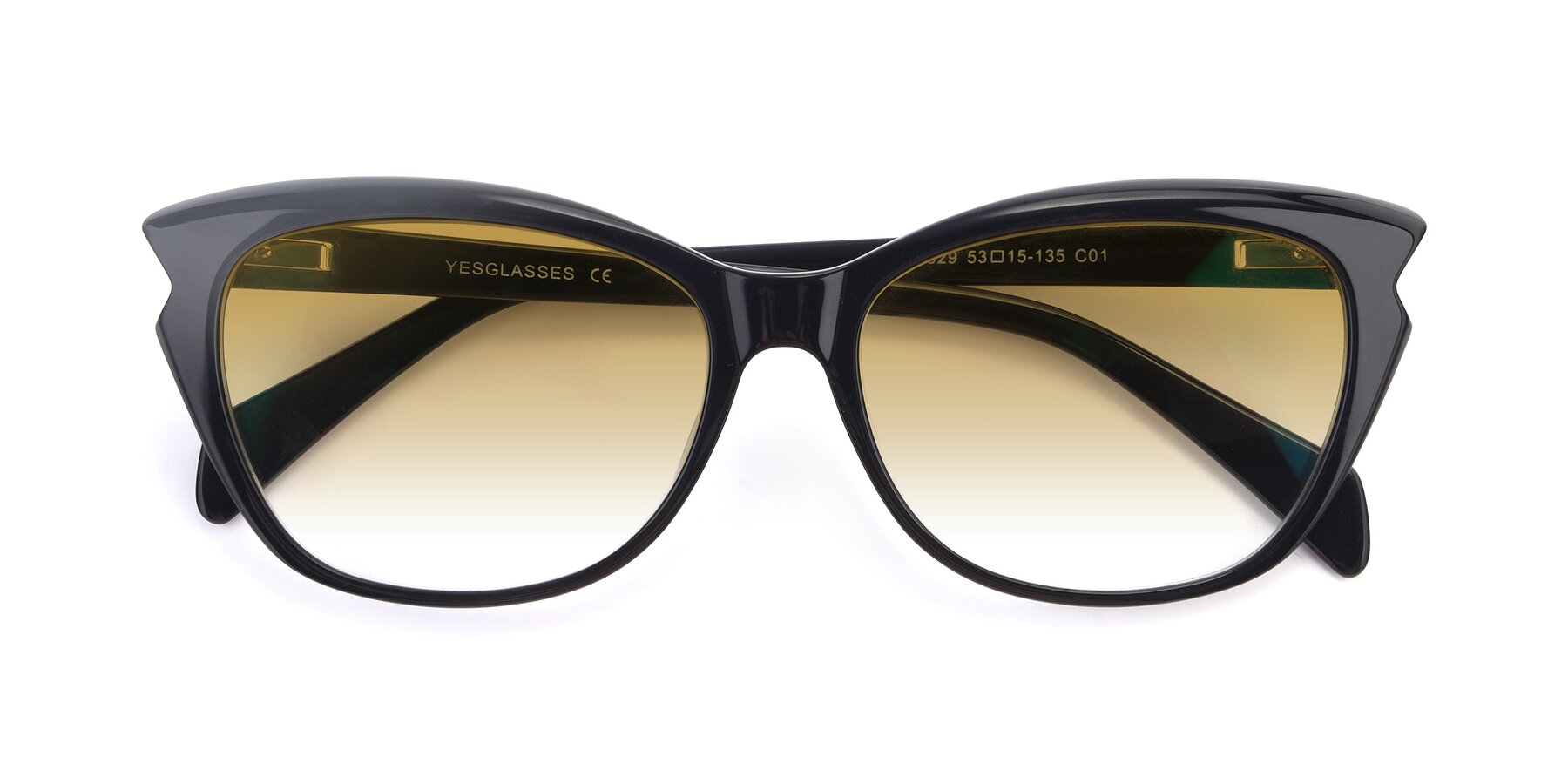 Folded Front of 17629 in Black with Champagne Gradient Lenses