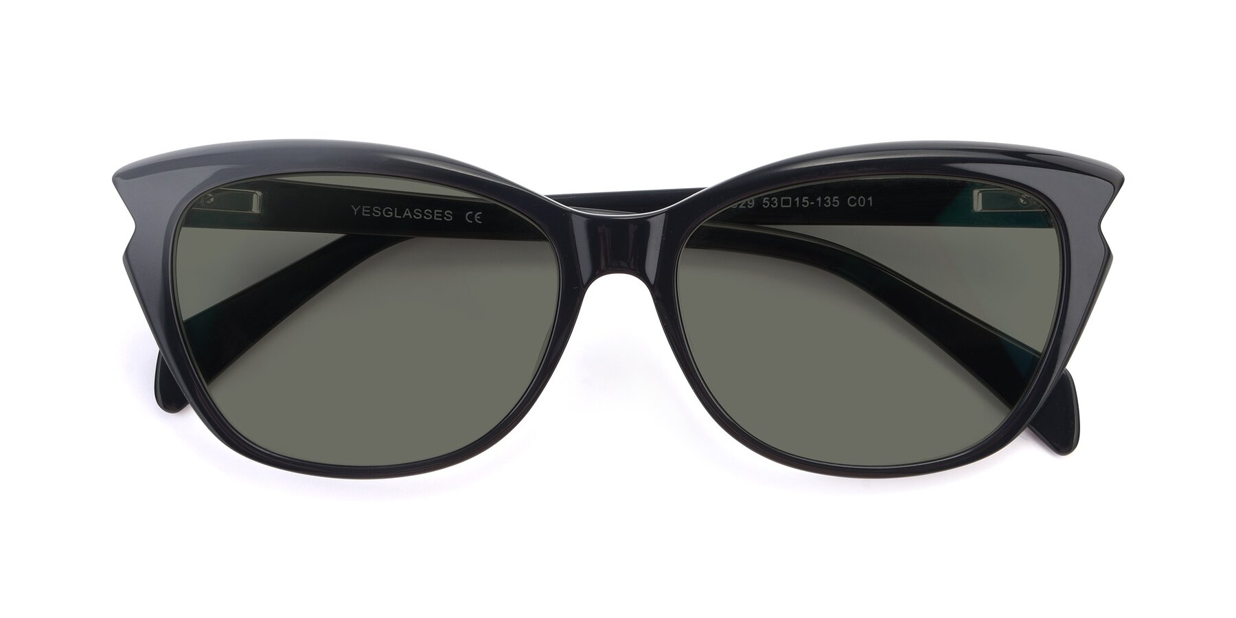 Folded Front of 17629 in Black with Gray Polarized Lenses