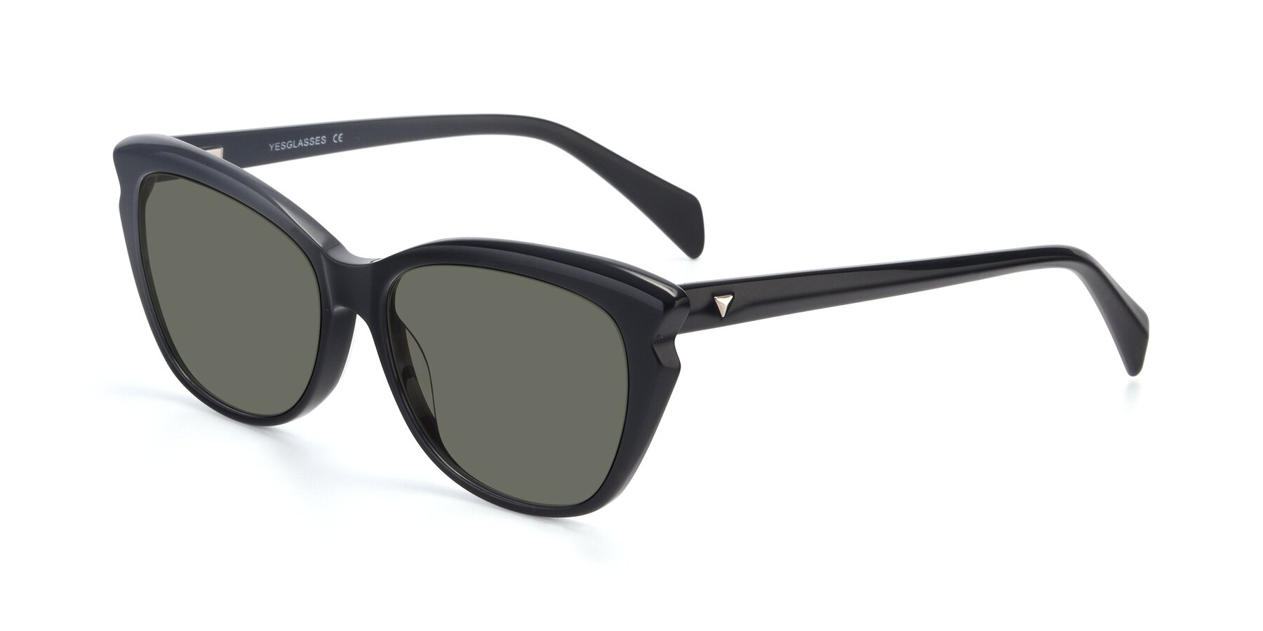 Angle of 17629 in Black with Gray Polarized Lenses