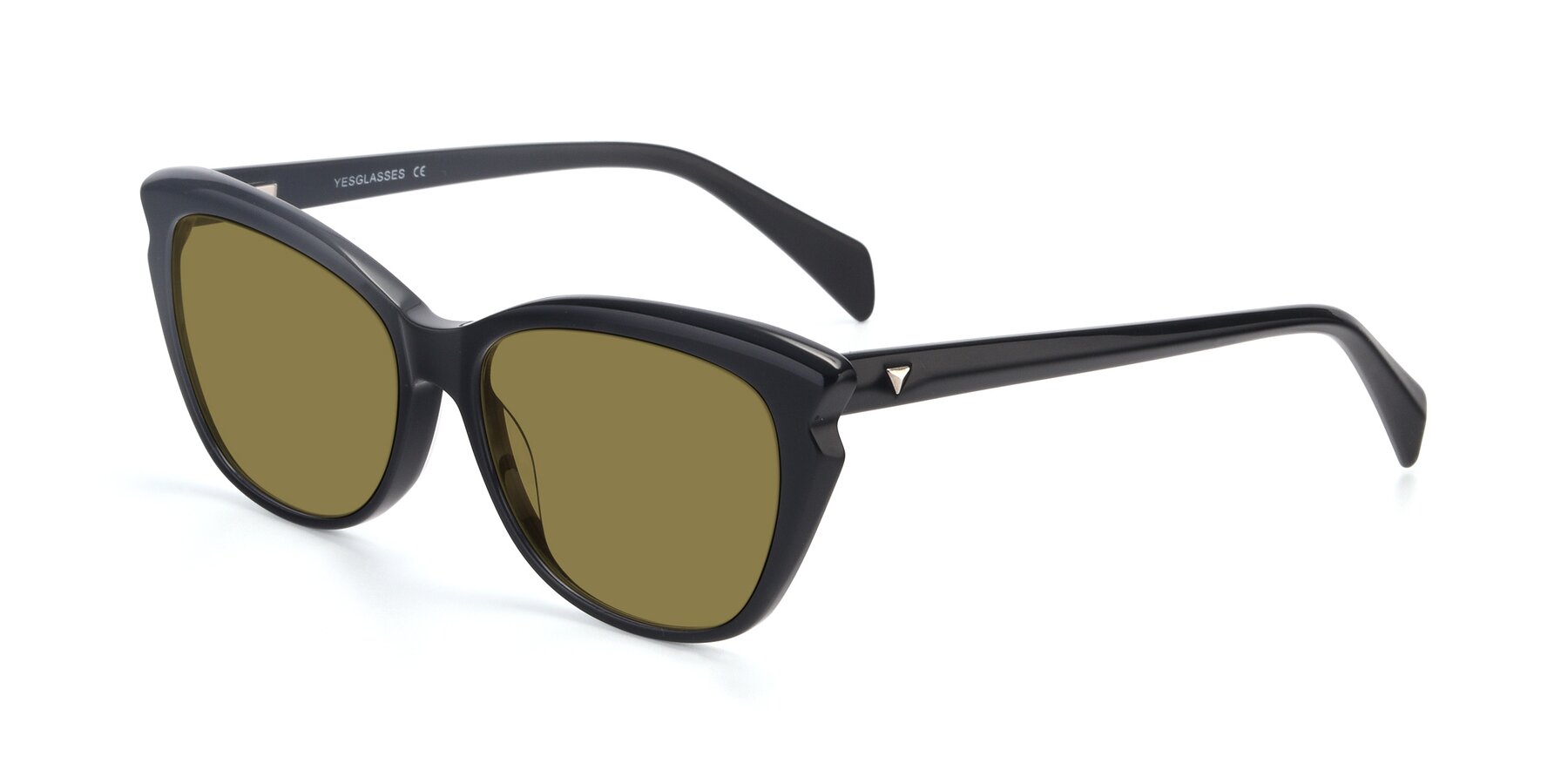 Angle of 17629 in Black with Brown Polarized Lenses