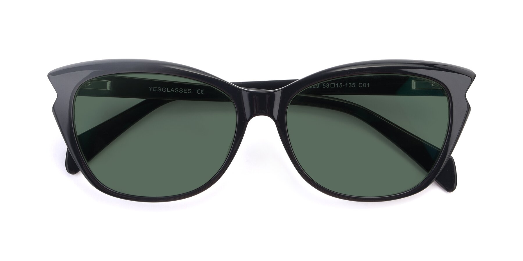 Folded Front of 17629 in Black with Green Polarized Lenses