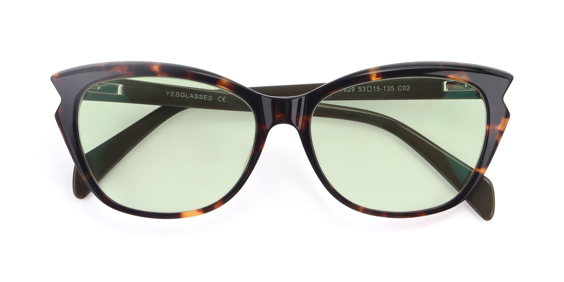 Folded Front of 17629 in Tortoise with Light Green Tinted Lenses