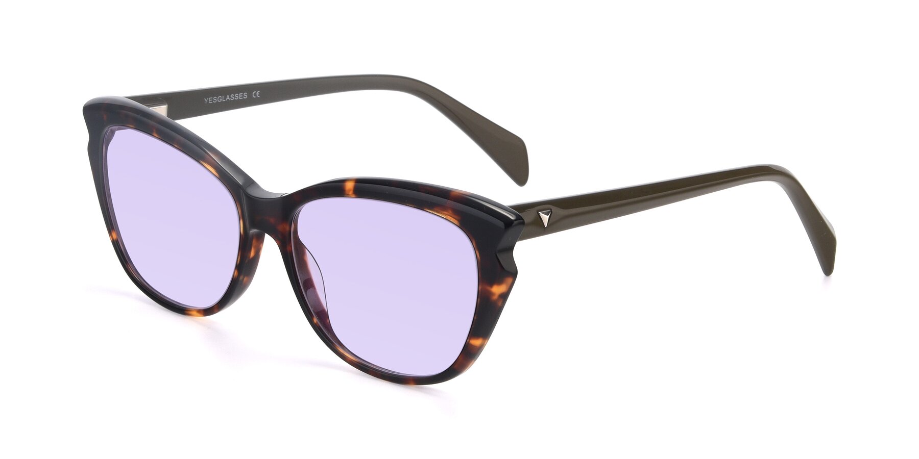 Angle of 17629 in Tortoise with Light Purple Tinted Lenses