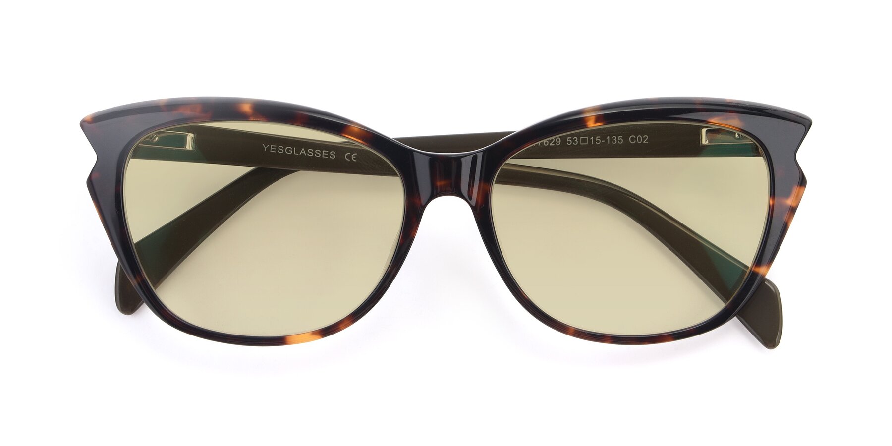 Folded Front of 17629 in Tortoise with Light Champagne Tinted Lenses