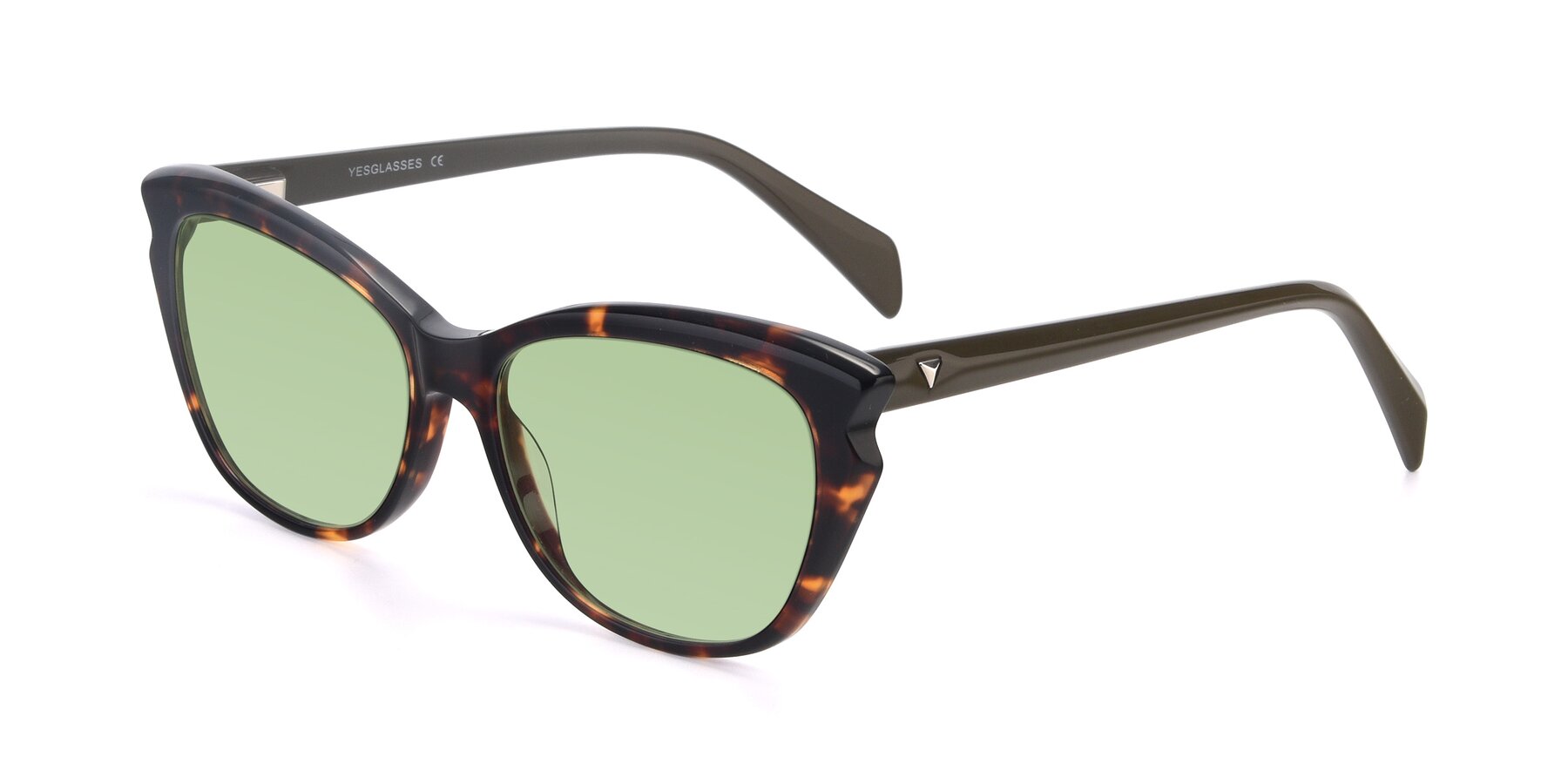 Angle of 17629 in Tortoise with Medium Green Tinted Lenses