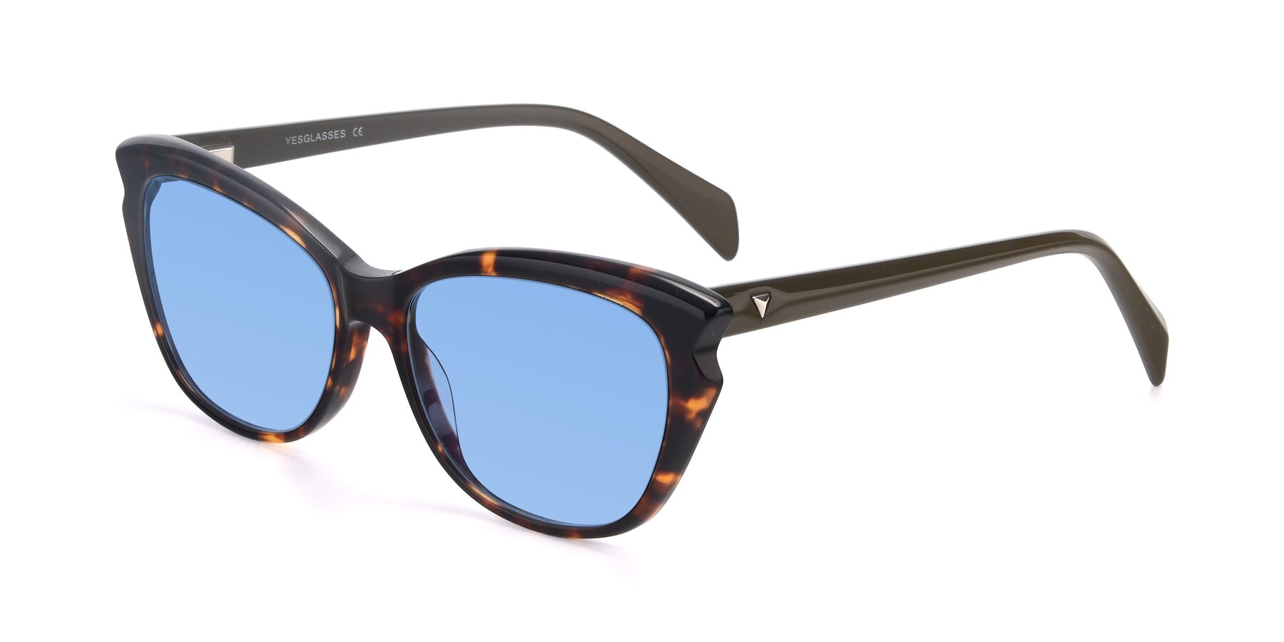 Angle of 17629 in Tortoise with Medium Blue Tinted Lenses