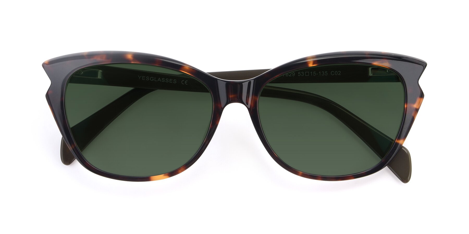 Folded Front of 17629 in Tortoise with Green Tinted Lenses