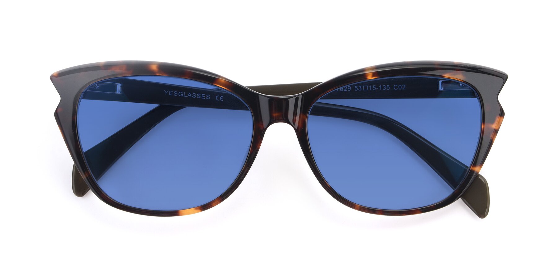 Folded Front of 17629 in Tortoise with Blue Tinted Lenses