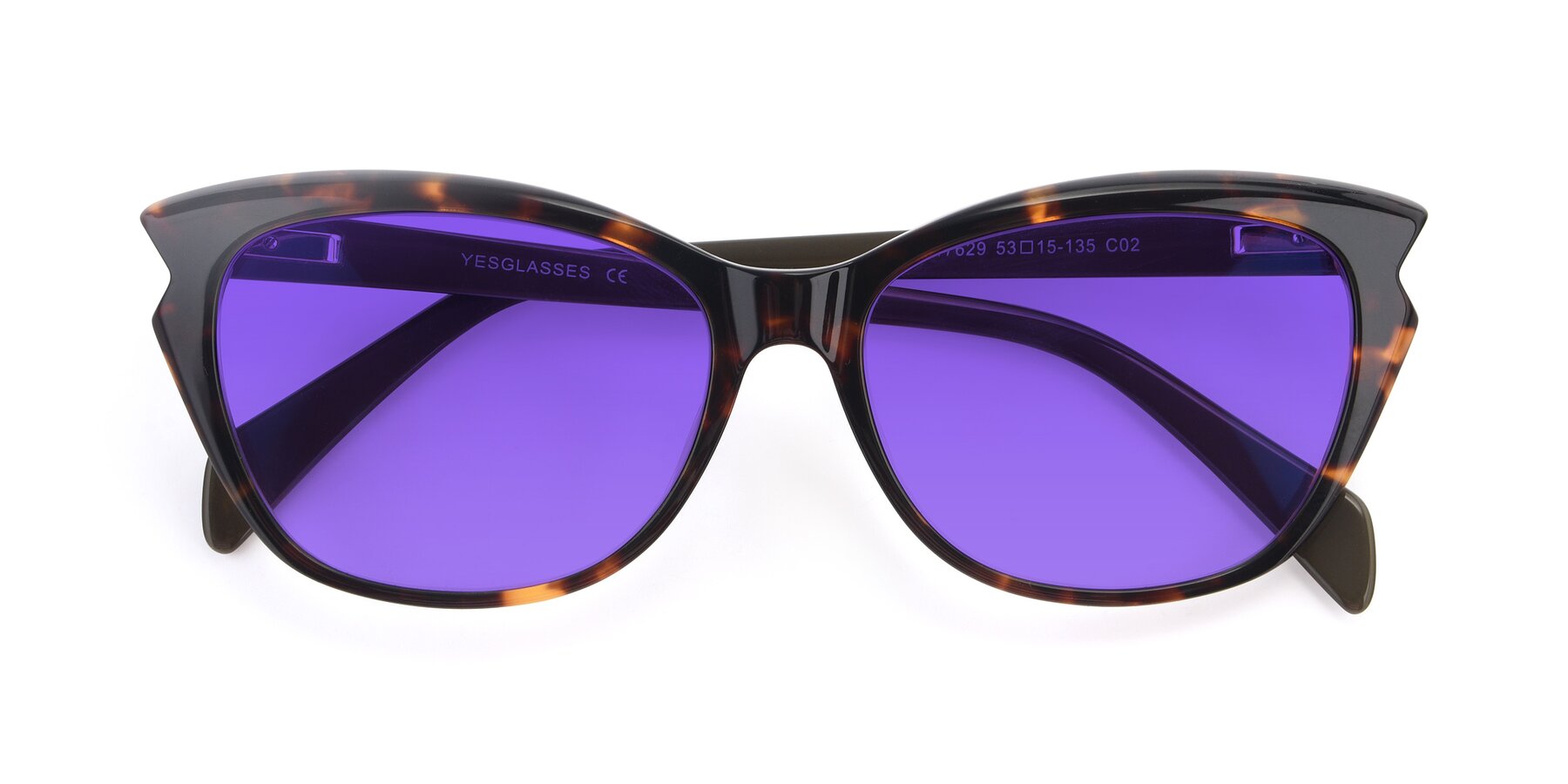 Folded Front of 17629 in Tortoise with Purple Tinted Lenses