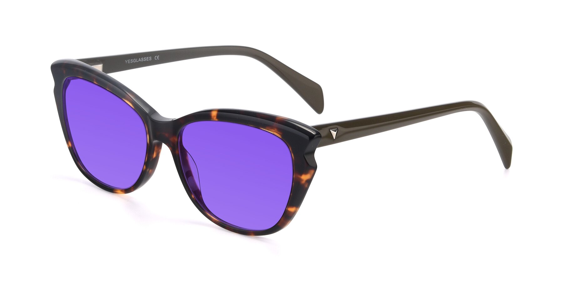 Angle of 17629 in Tortoise with Purple Tinted Lenses