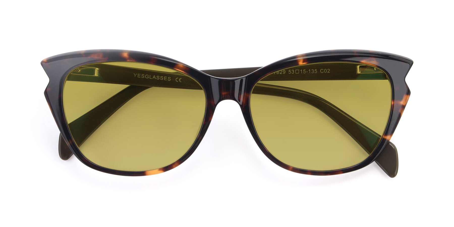 Folded Front of 17629 in Tortoise with Champagne Tinted Lenses