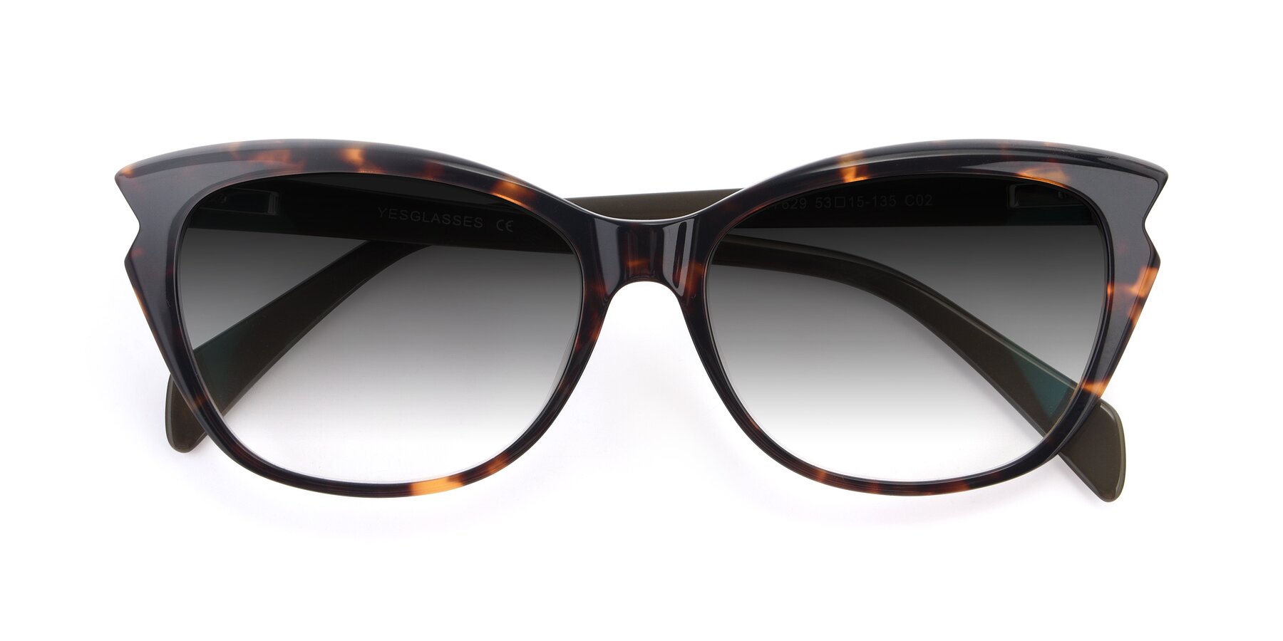 Folded Front of 17629 in Tortoise with Gray Gradient Lenses