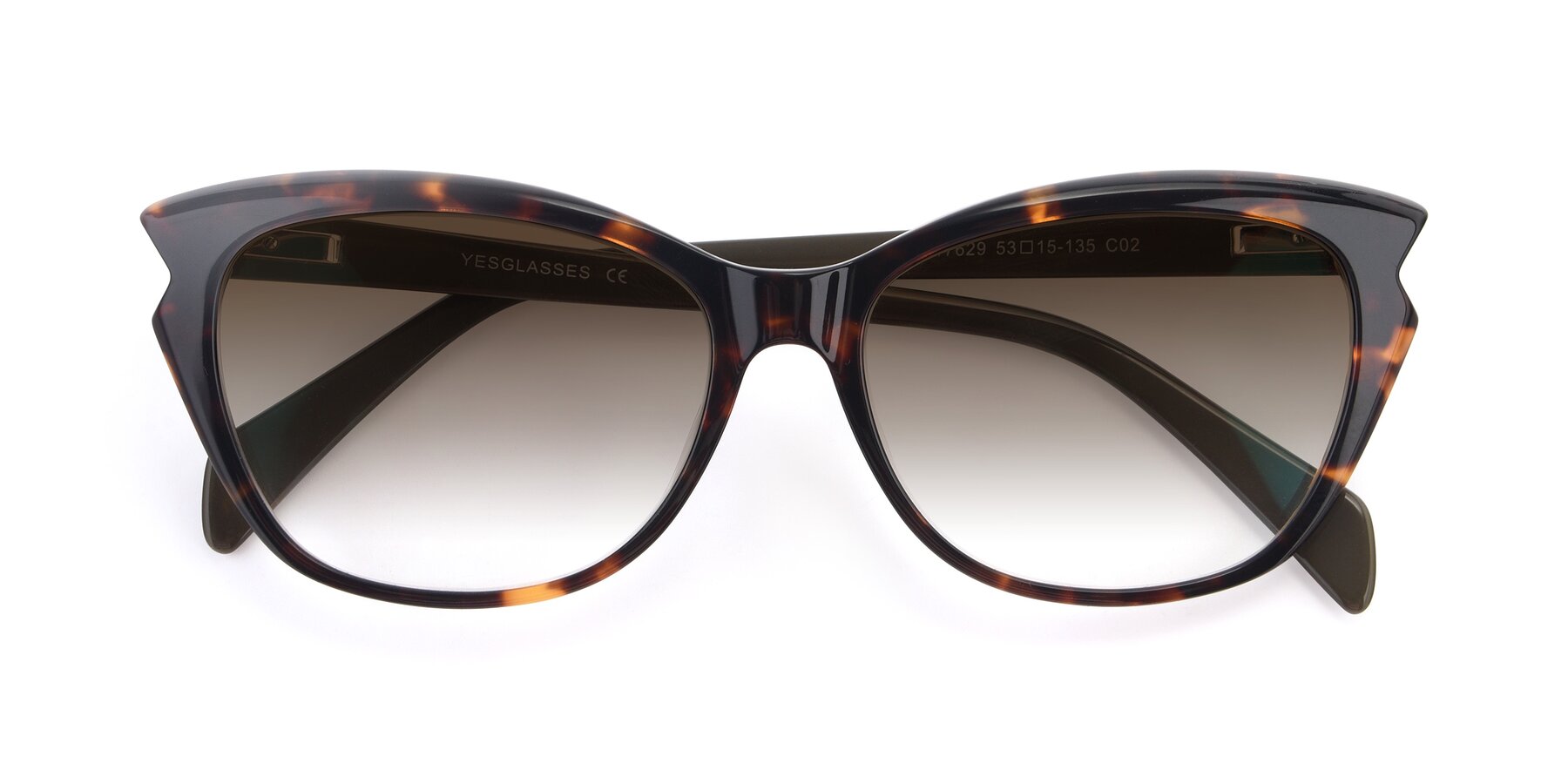 Folded Front of 17629 in Tortoise with Brown Gradient Lenses