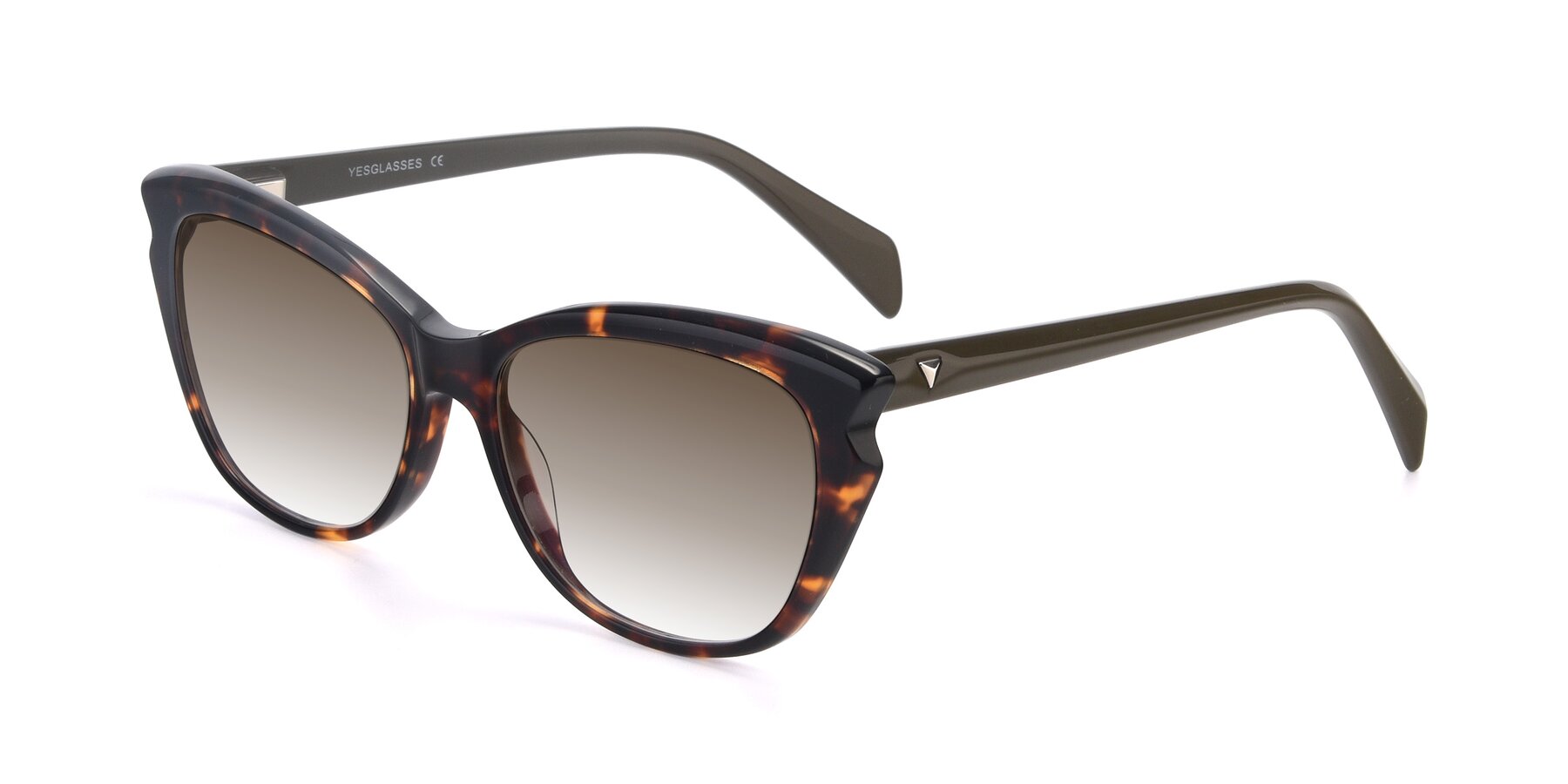Angle of 17629 in Tortoise with Brown Gradient Lenses