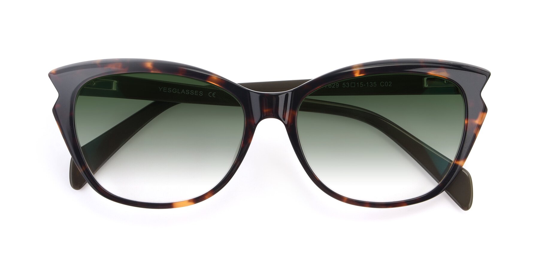 Folded Front of 17629 in Tortoise with Green Gradient Lenses