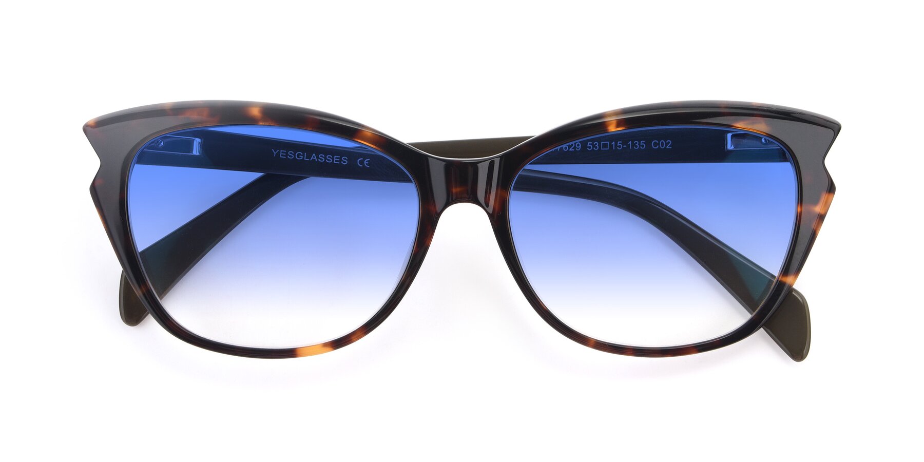 Folded Front of 17629 in Tortoise with Blue Gradient Lenses