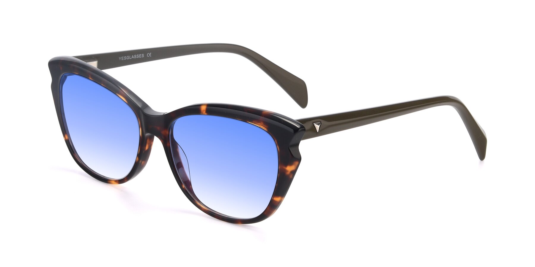 Angle of 17629 in Tortoise with Blue Gradient Lenses