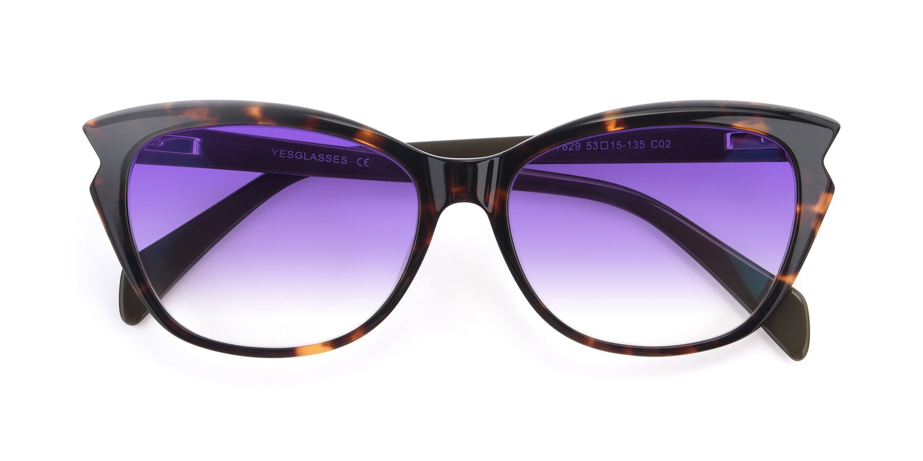 Folded Front of 17629 in Tortoise with Purple Gradient Lenses