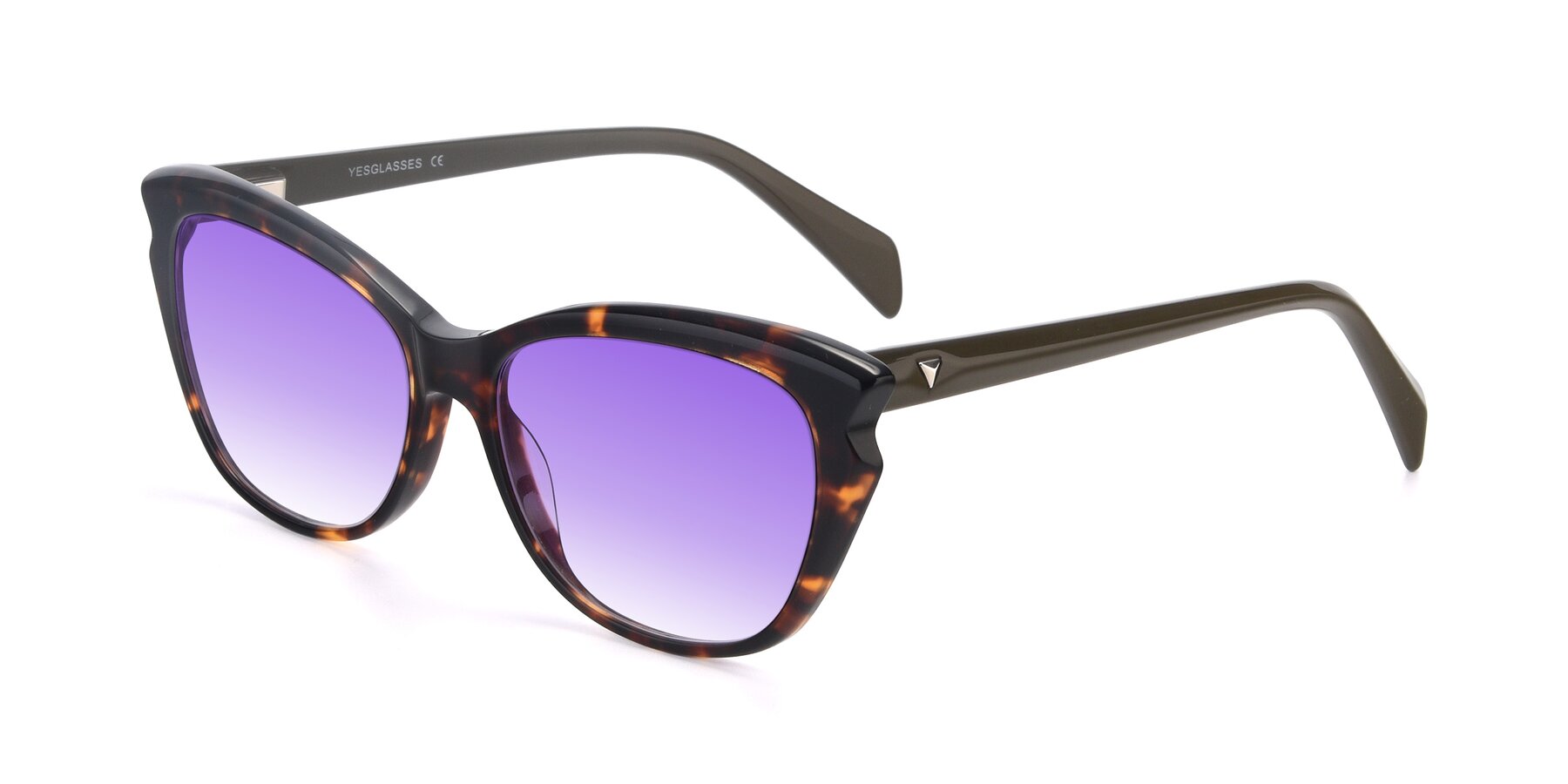Angle of 17629 in Tortoise with Purple Gradient Lenses
