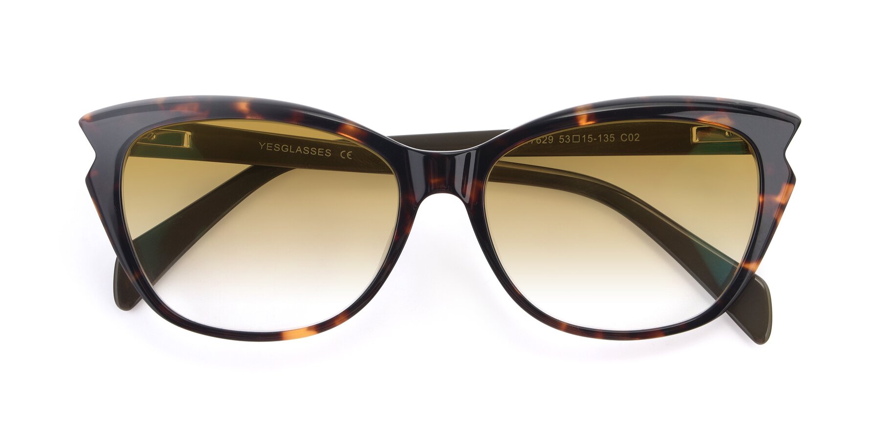 Folded Front of 17629 in Tortoise with Champagne Gradient Lenses