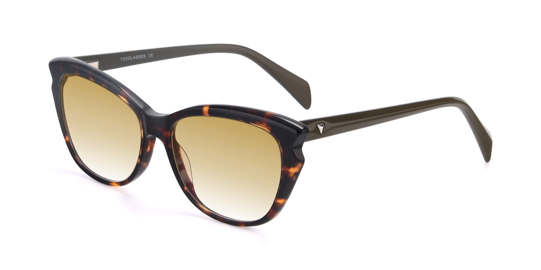 Angle of 17629 in Tortoise with Champagne Gradient Lenses