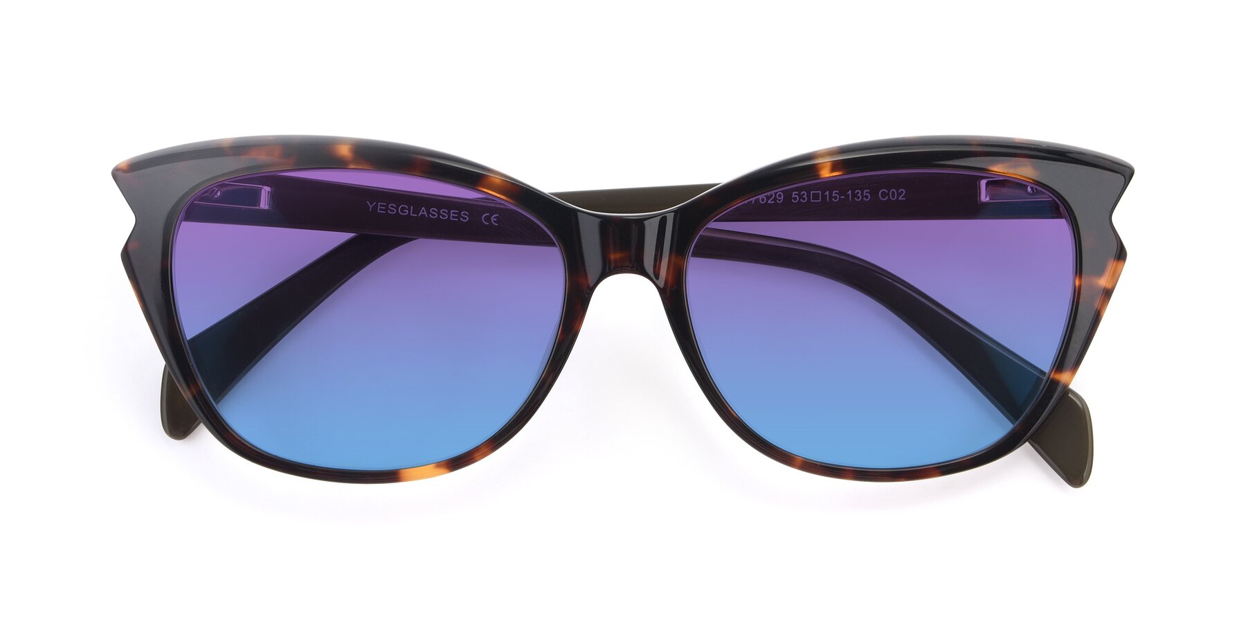Folded Front of 17629 in Tortoise with Purple / Blue Gradient Lenses