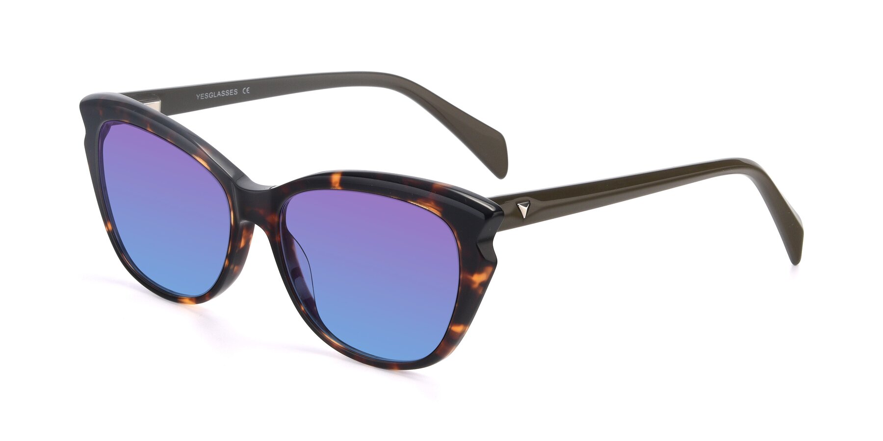 Angle of 17629 in Tortoise with Purple / Blue Gradient Lenses