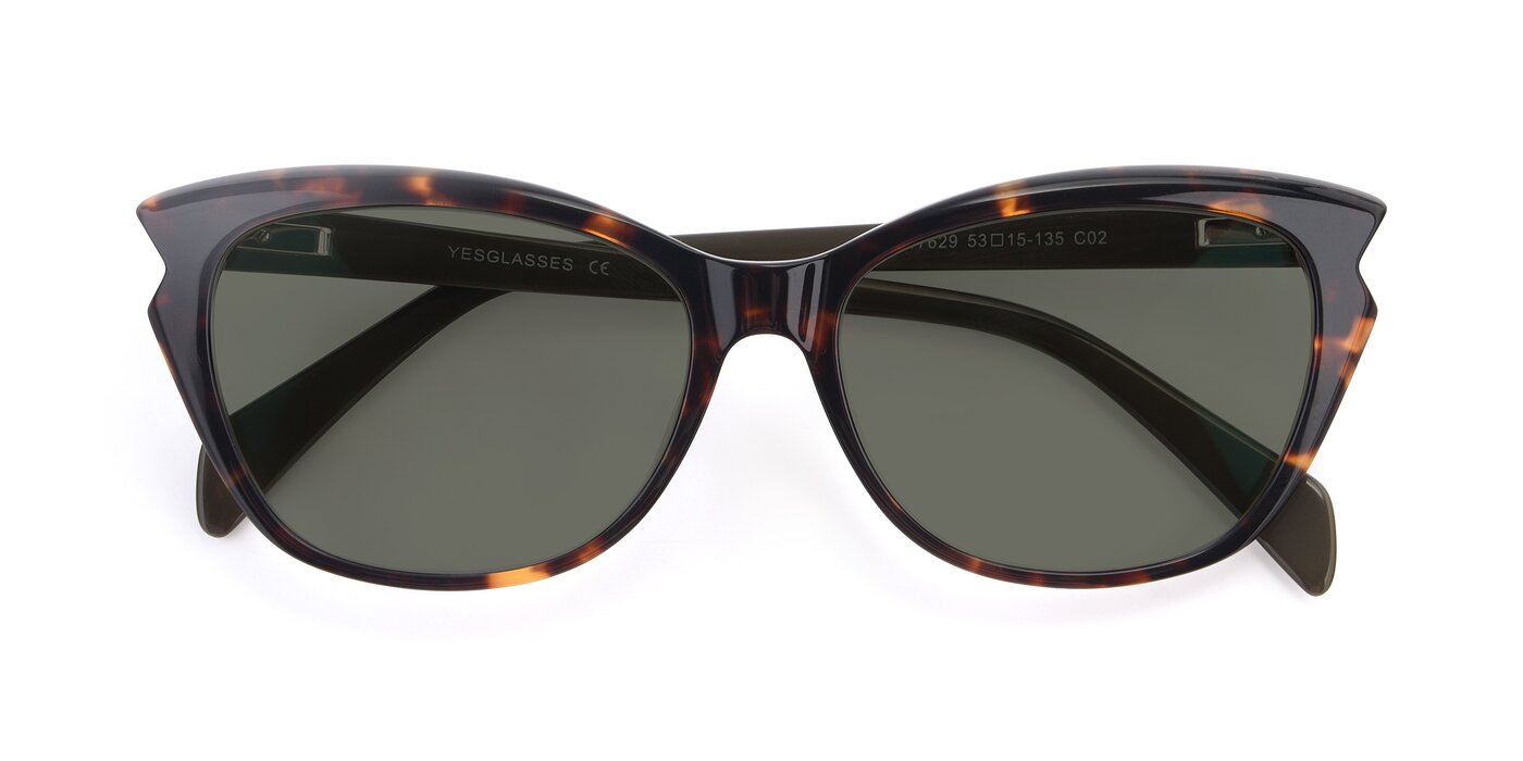 17629 - Tortoise Polarized Sunglasses