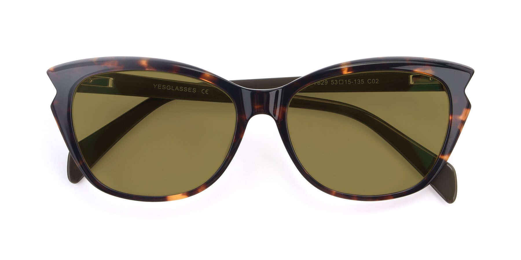 Folded Front of 17629 in Tortoise with Brown Polarized Lenses
