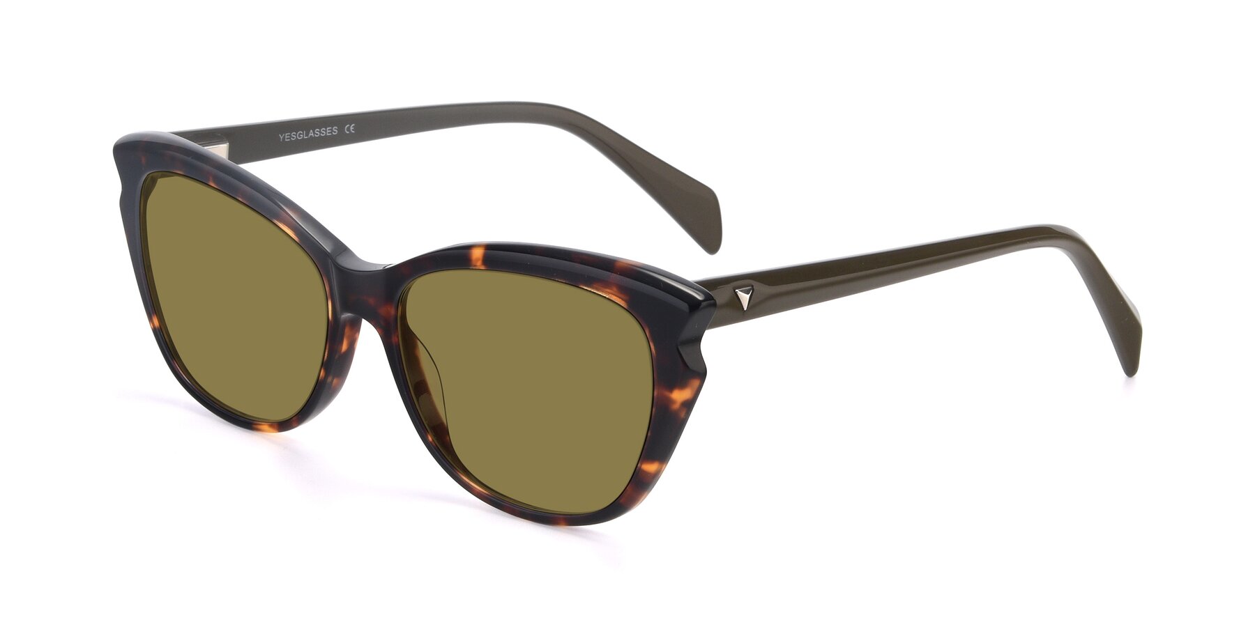 Angle of 17629 in Tortoise with Brown Polarized Lenses