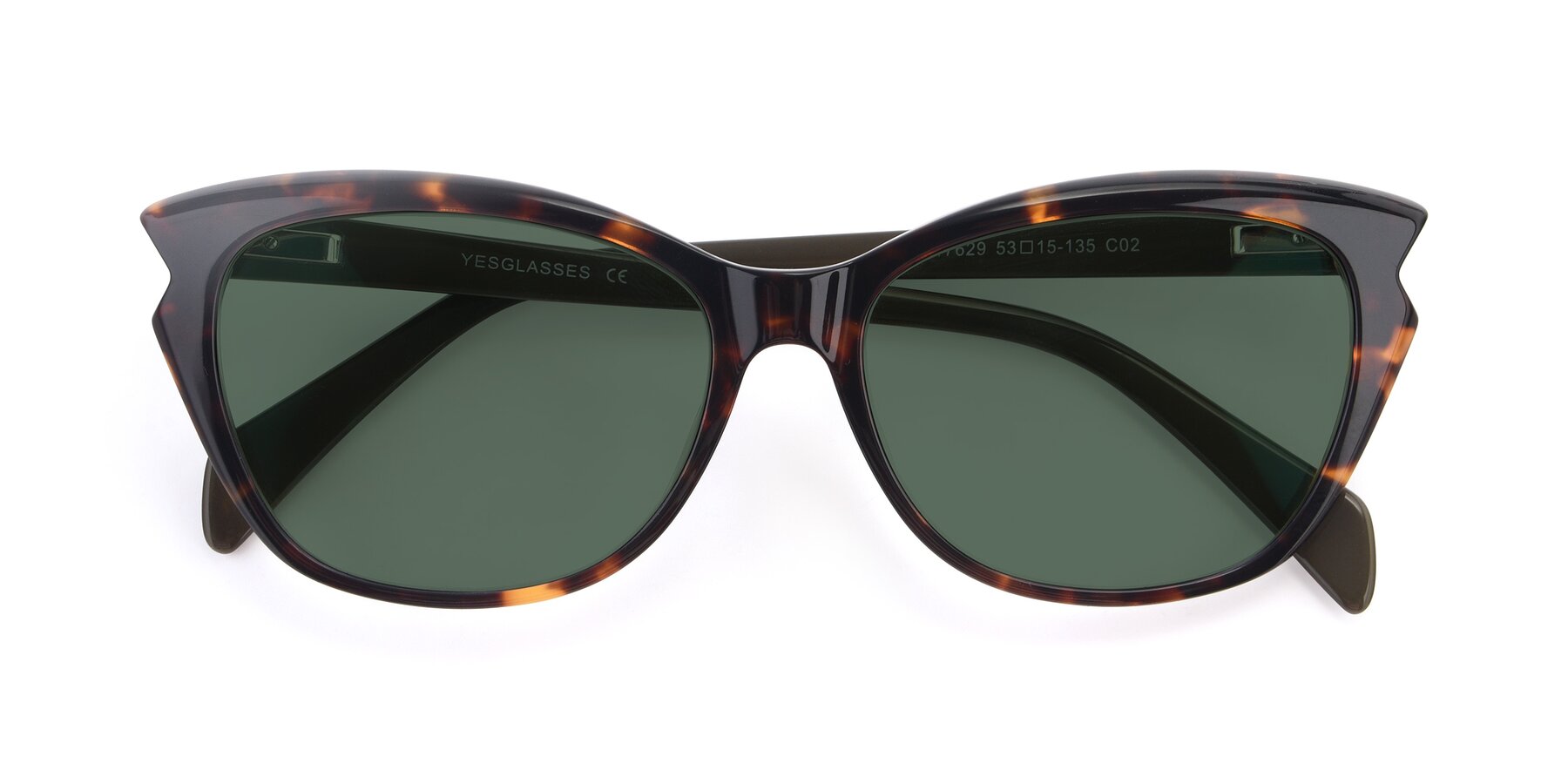Folded Front of 17629 in Tortoise with Green Polarized Lenses