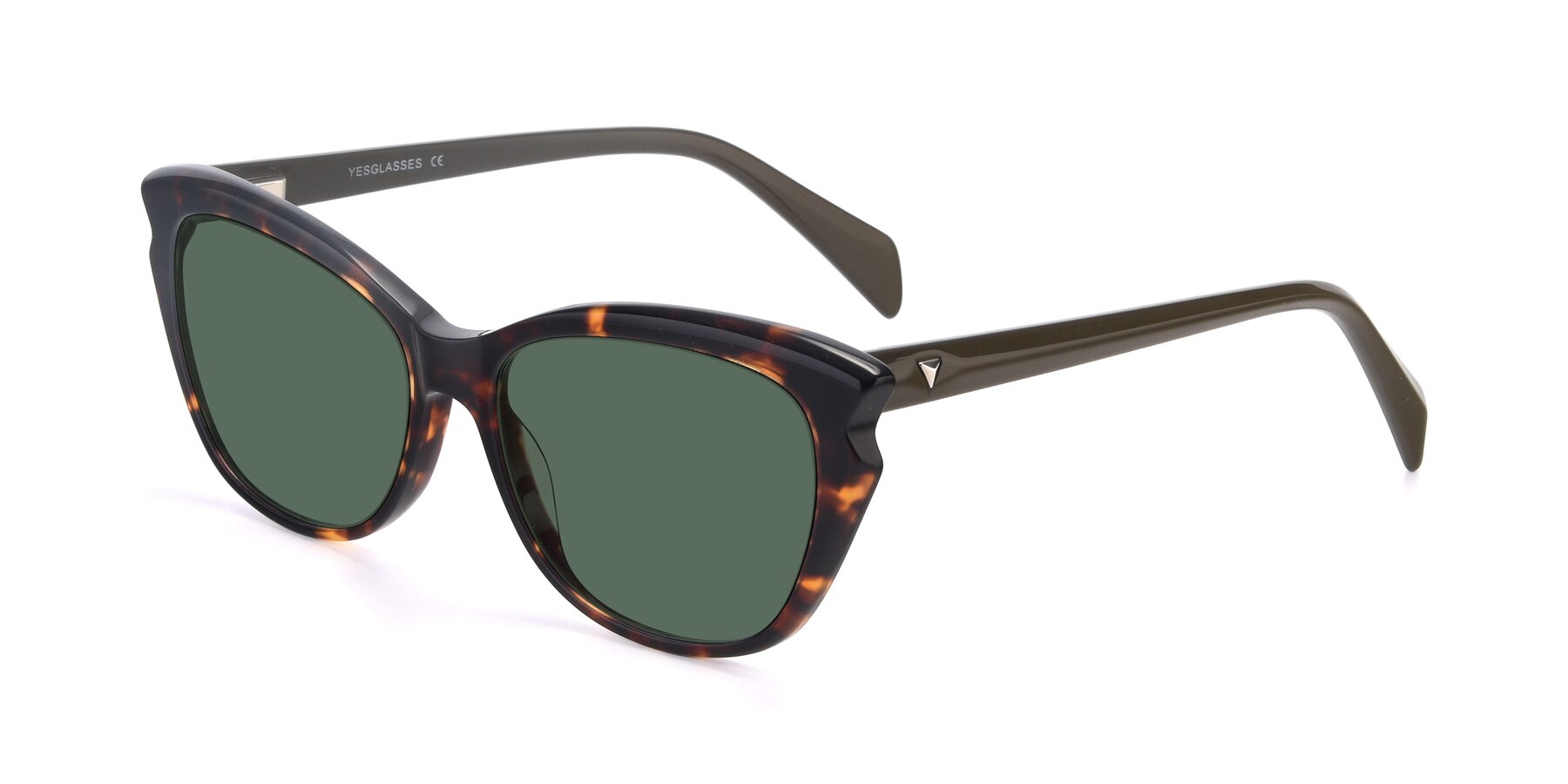 Angle of 17629 in Tortoise with Green Polarized Lenses