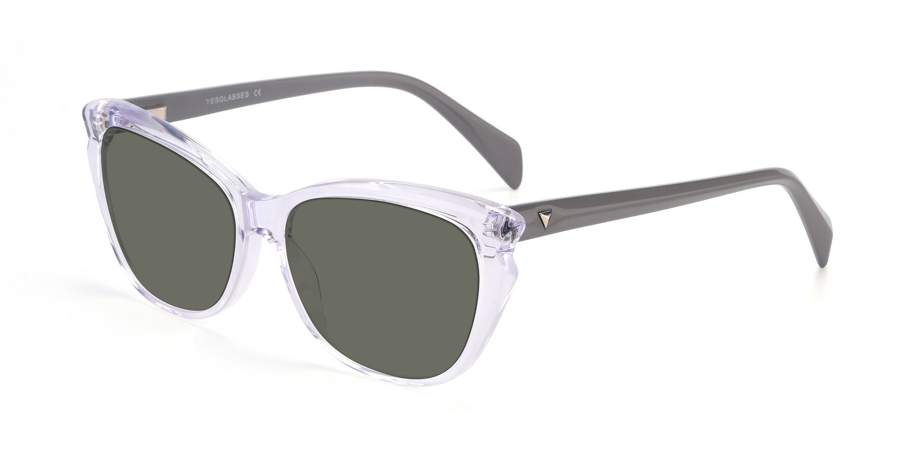 Angle of 17629 in Clear with Gray Polarized Lenses