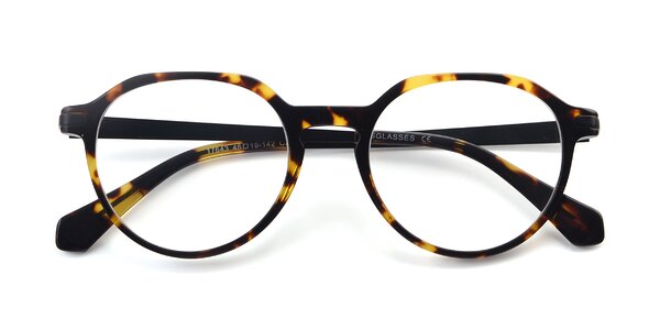 Front of 17643 in Tortoise