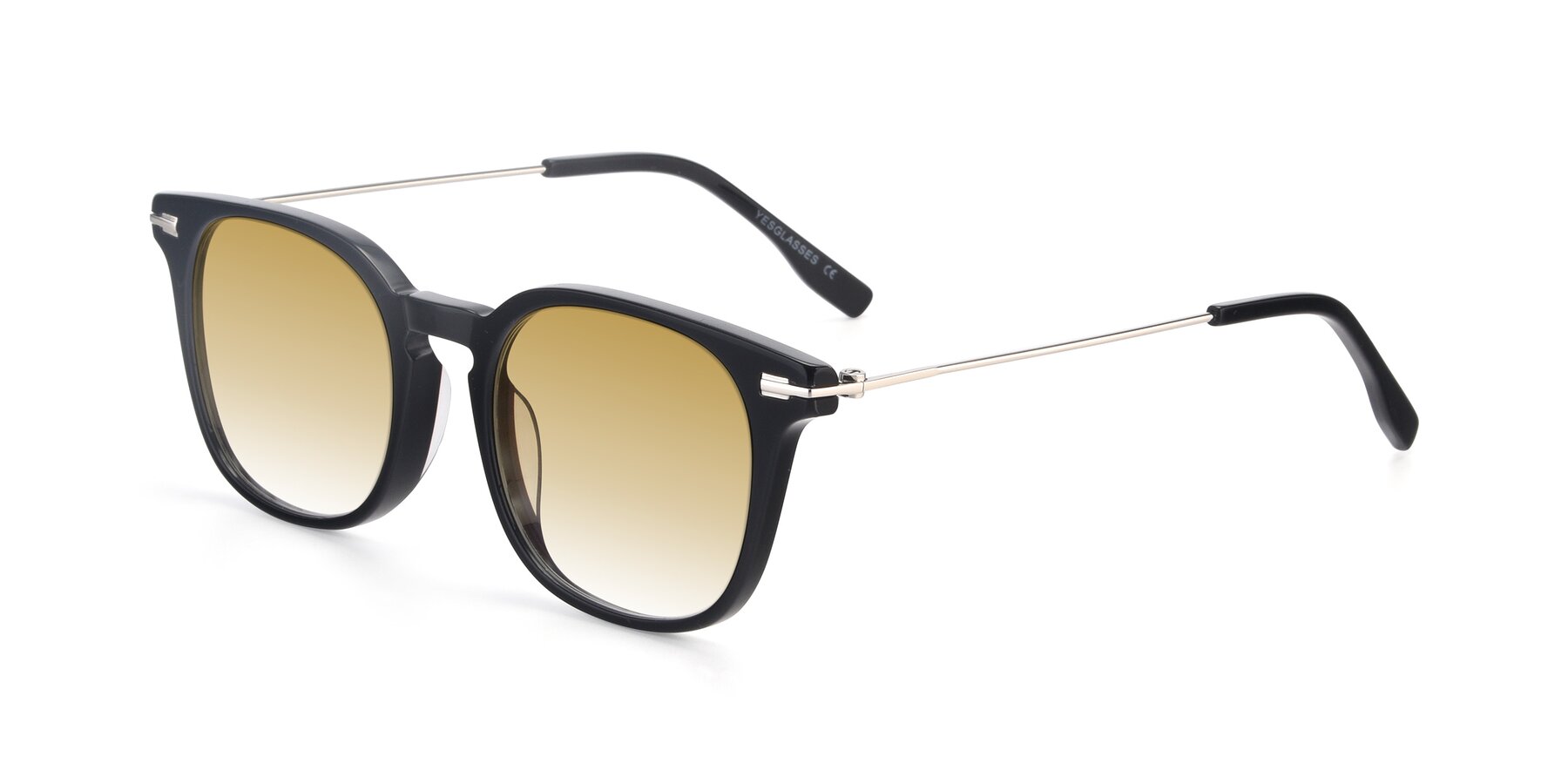 Angle of 17711 in Black with Champagne Gradient Lenses