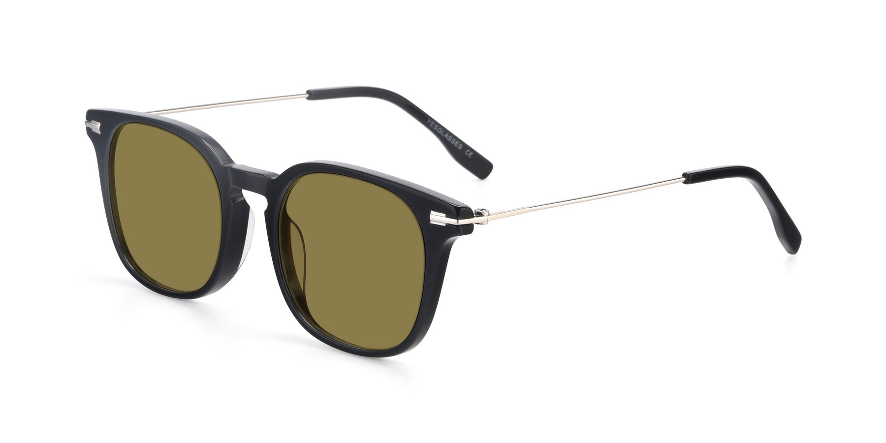 Angle of 17711 in Black with Brown Polarized Lenses