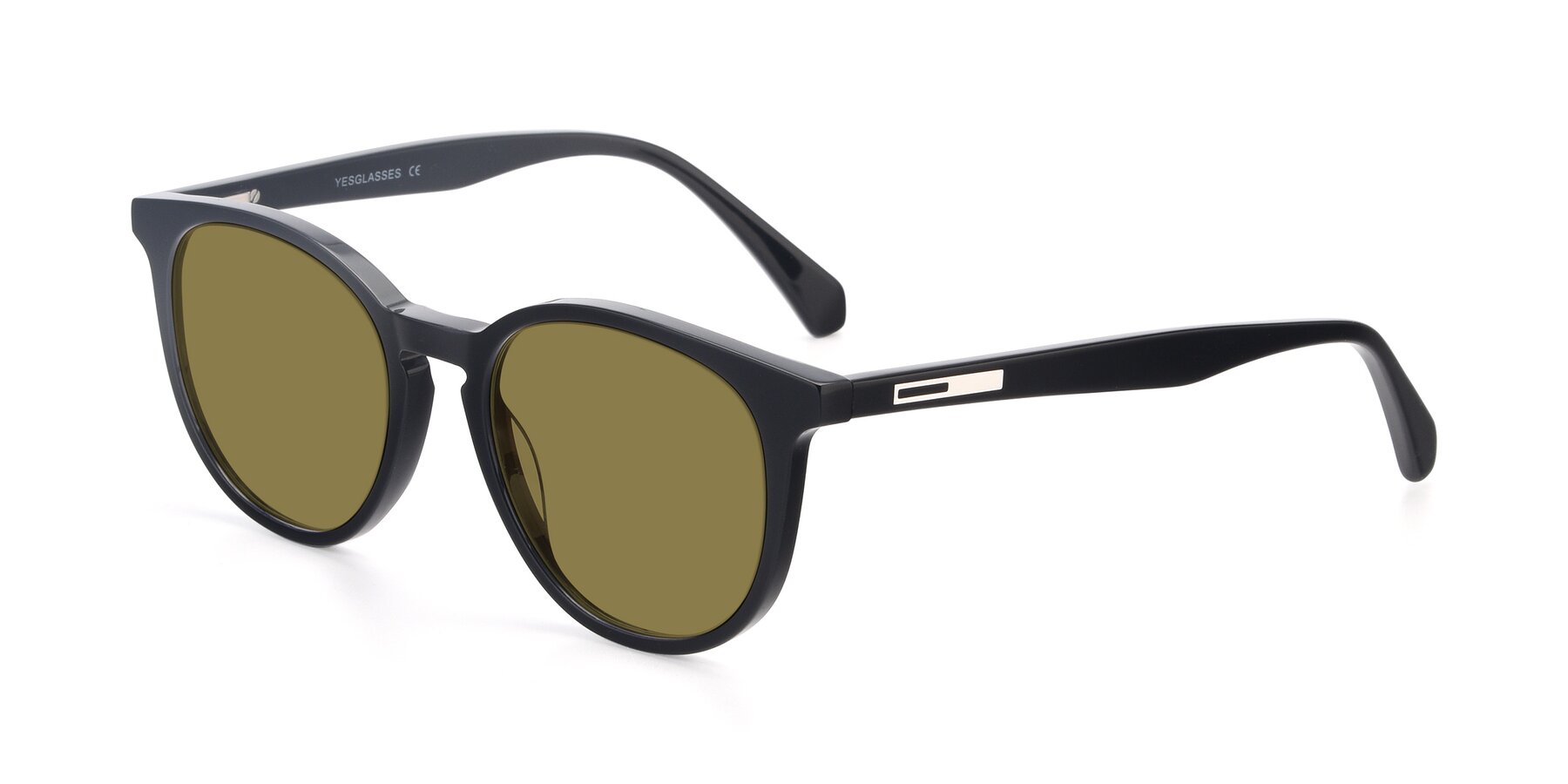 Angle of 17721 in Black with Brown Polarized Lenses