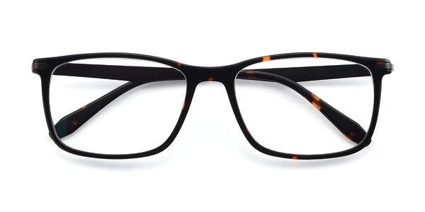 Front of T002 in Tortoise
