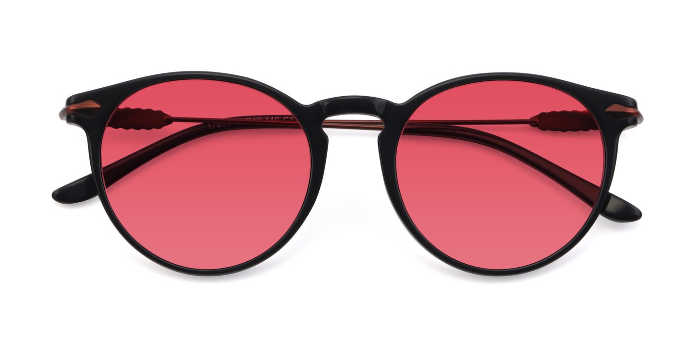 17660 - Black Tinted Sunglasses