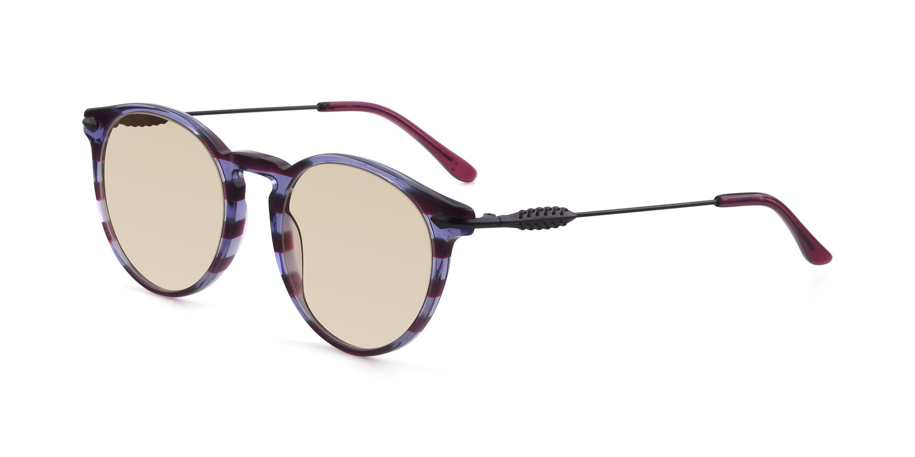Angle of 17660 in Stripe Purple with Light Brown Tinted Lenses