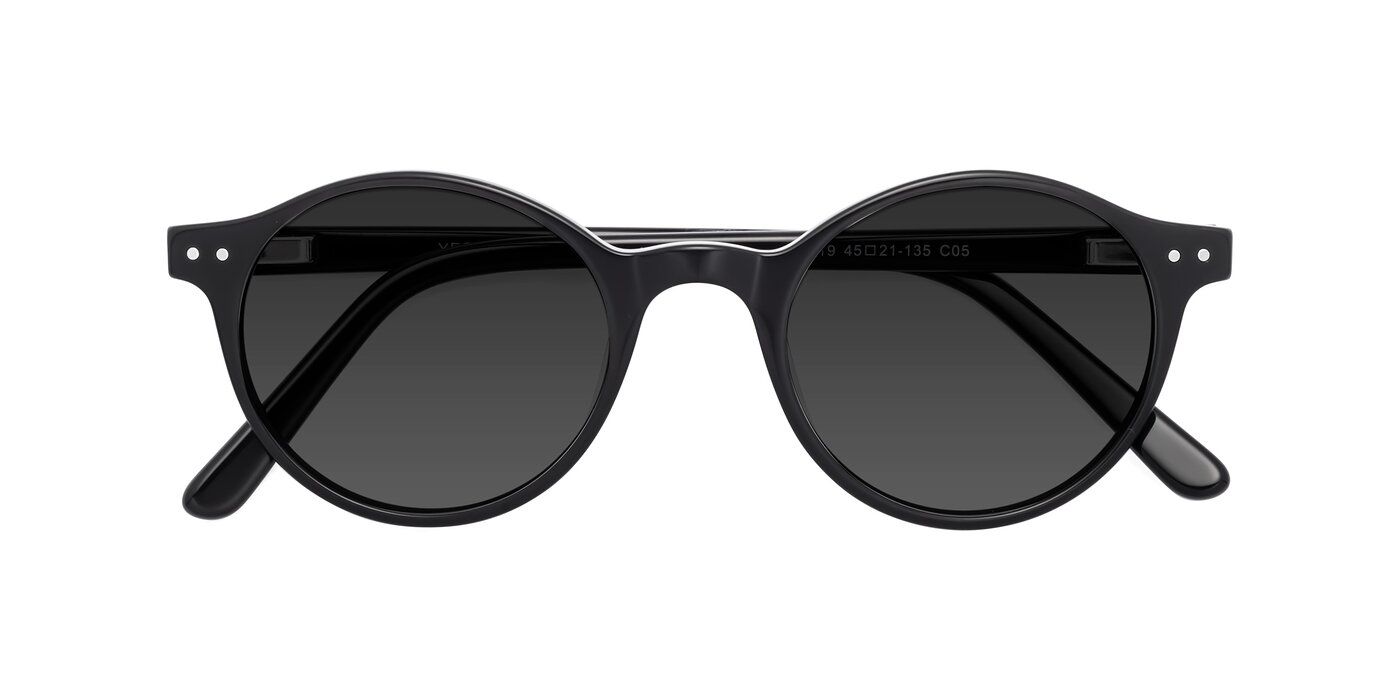 17519 - Black Tinted Sunglasses