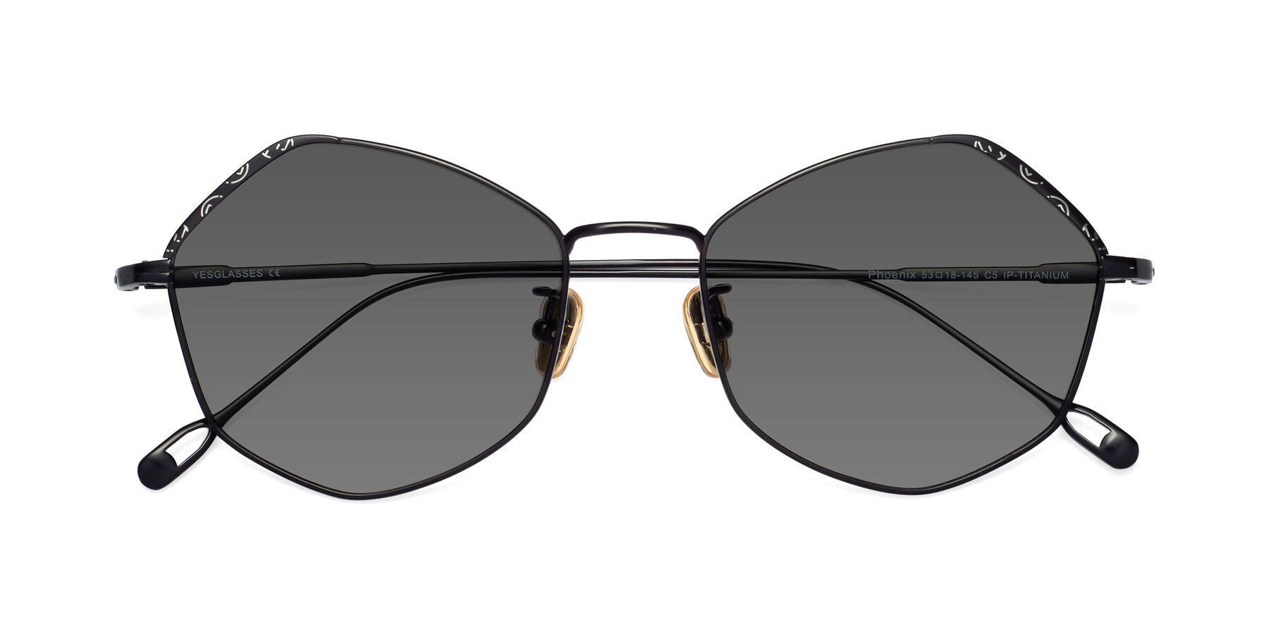 Folded Front of Phoenix in Black with Medium Gray Tinted Lenses